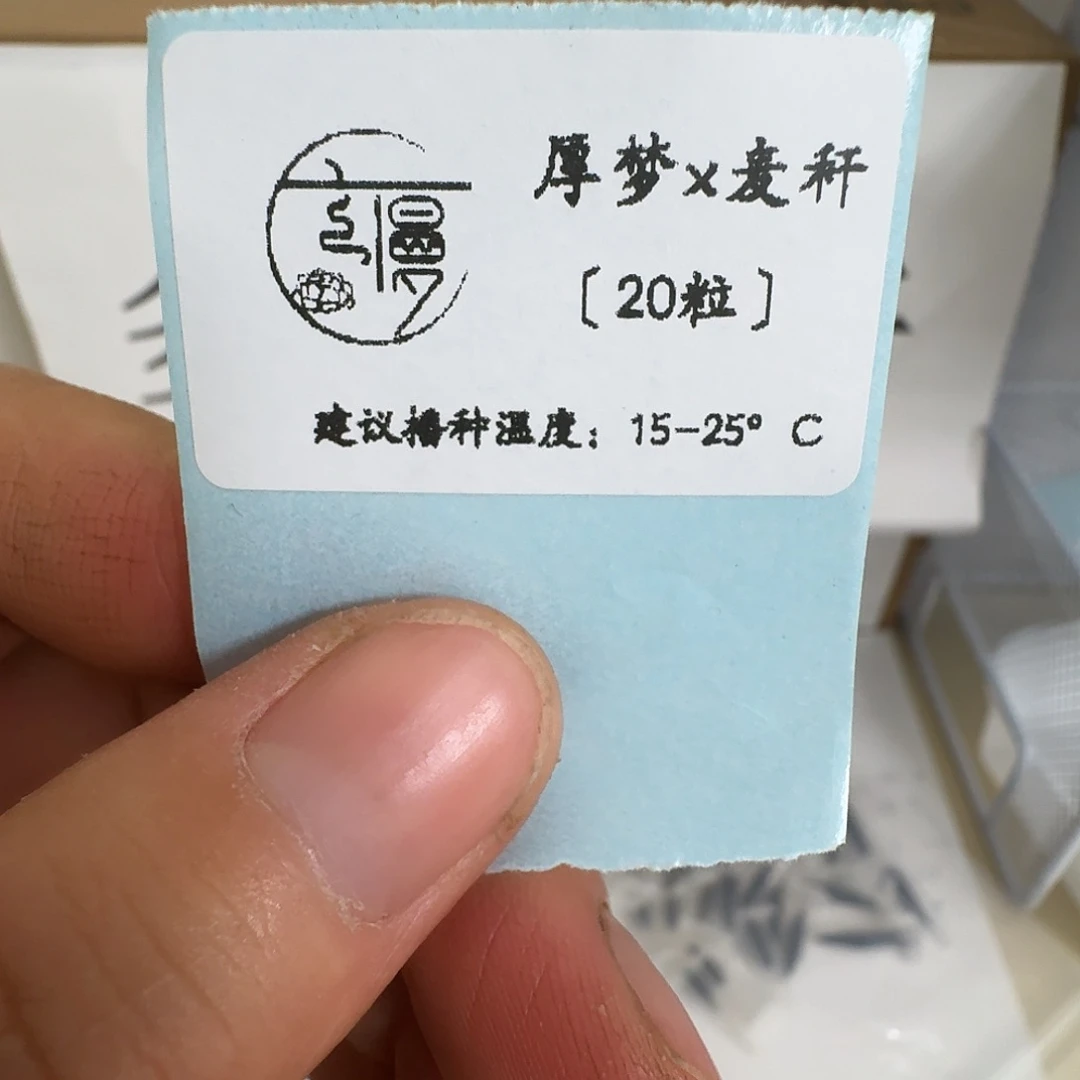 如图2025糖心珍妮杂交种子厚梦杂麦秆20粒不包出芽率