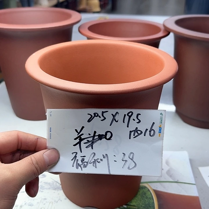 紫砂2222222222222222222