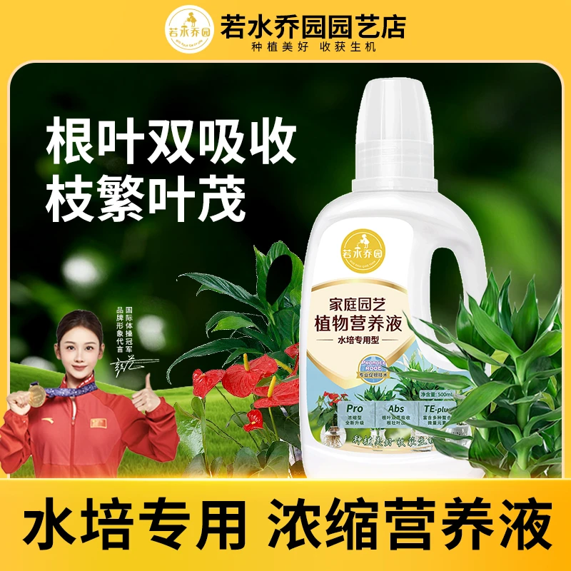 若水乔园水培通用植物浓缩营养液富贵竹绿萝发财树