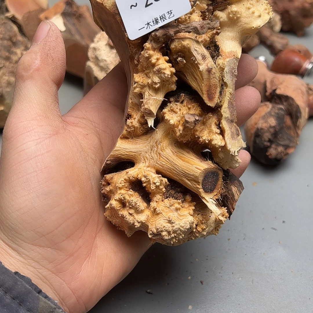 高***无花朵         238