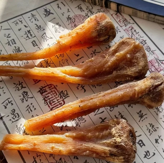 【藏雪参】高原采集跑山货 藏雪参 泡水煲汤泡酒