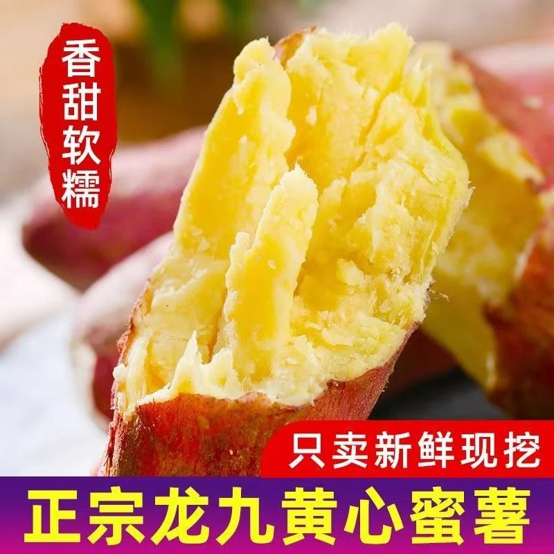 湖北正宗黄心蜜薯新鲜现挖香甜软糯糖心流油地瓜粗粮代餐孕妇红薯