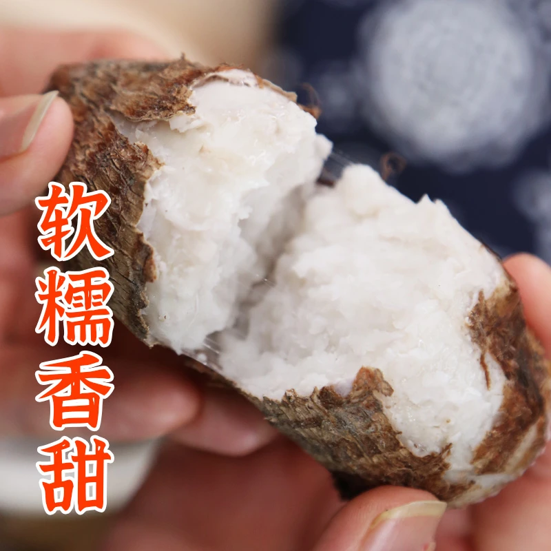 [顺丰发货]福建高山红芽芋艿 芋子1/3/5斤装