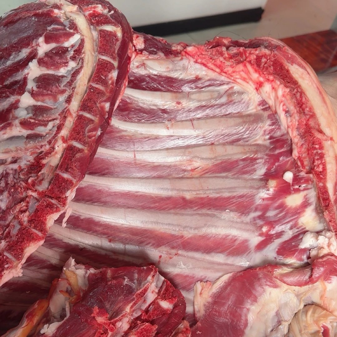 新鲜现宰散养黑山羊肉