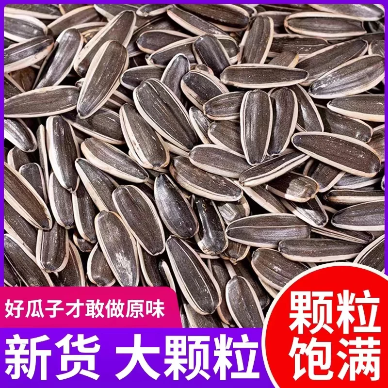 【买三斤送二斤】原味熟瓜子不含干燥剂