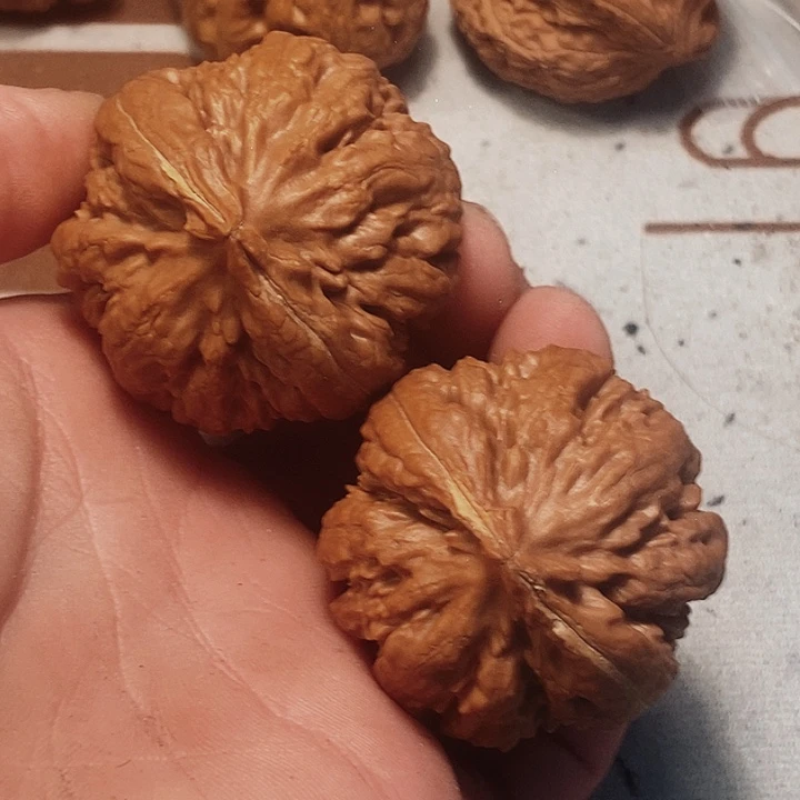 吊坠桃核问**大全品霸王岭43