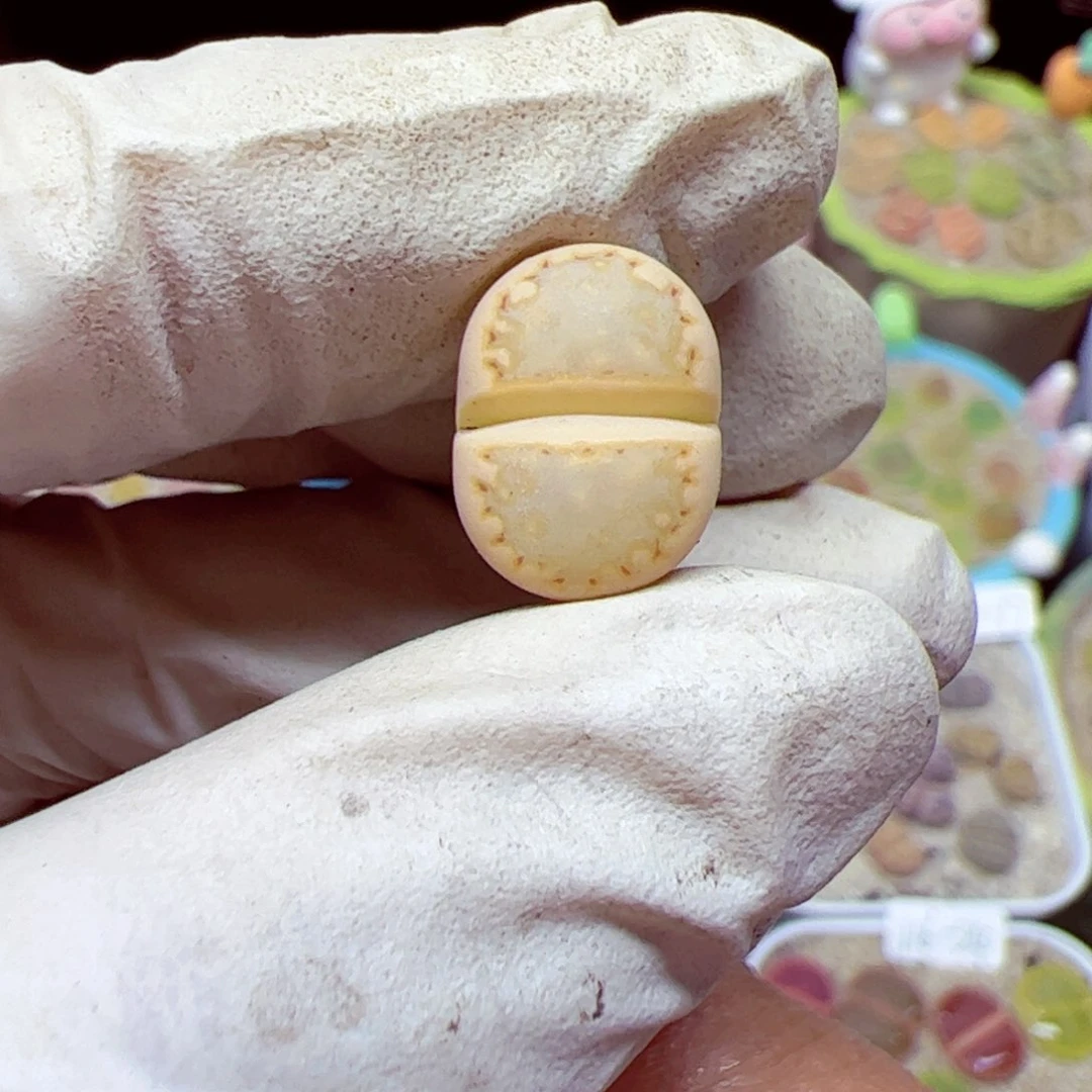 庄*歌116优秀的肉肉60