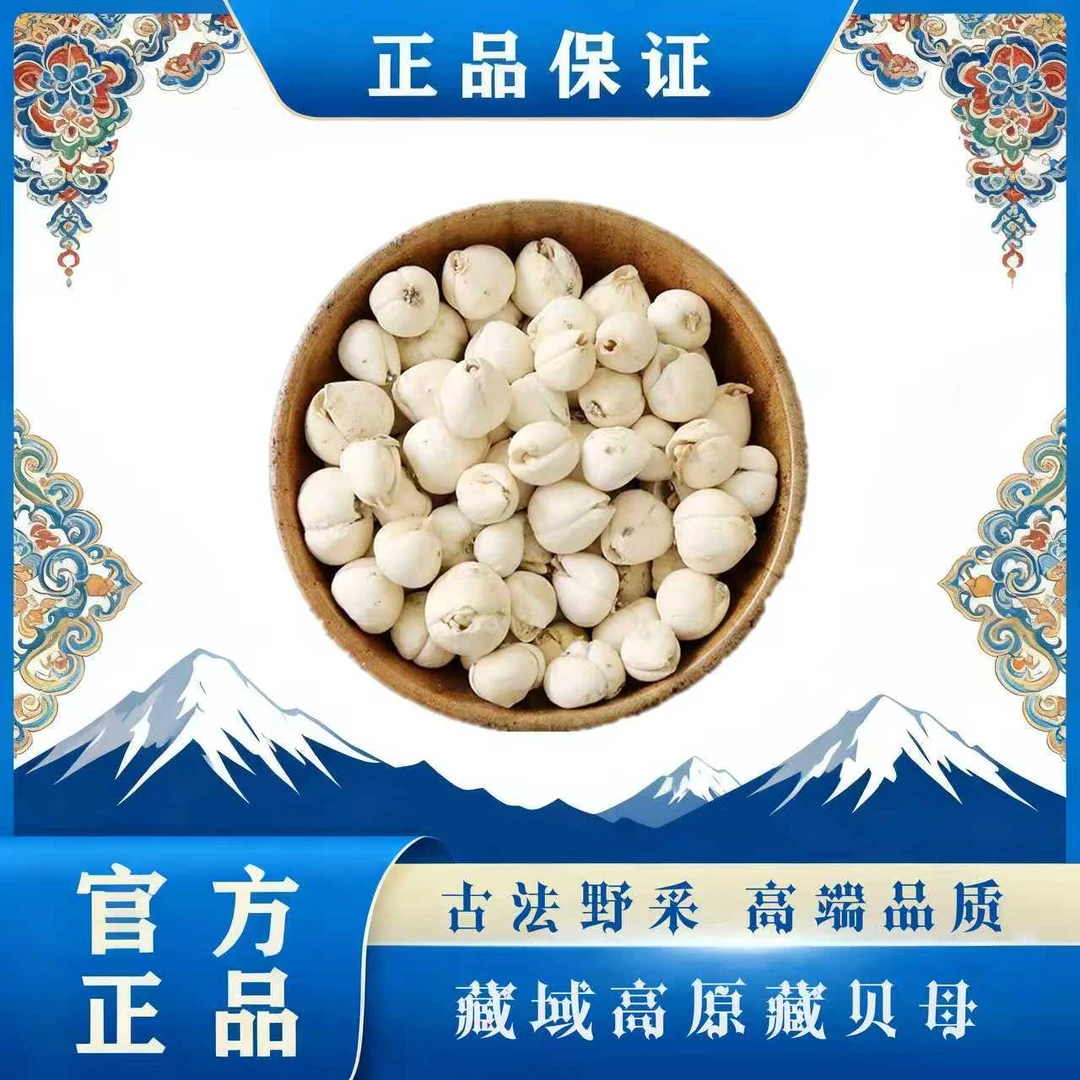 藏域高原藏贝母干货精品