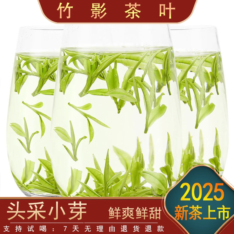 【2025白茶头采】小嫩芽 2号