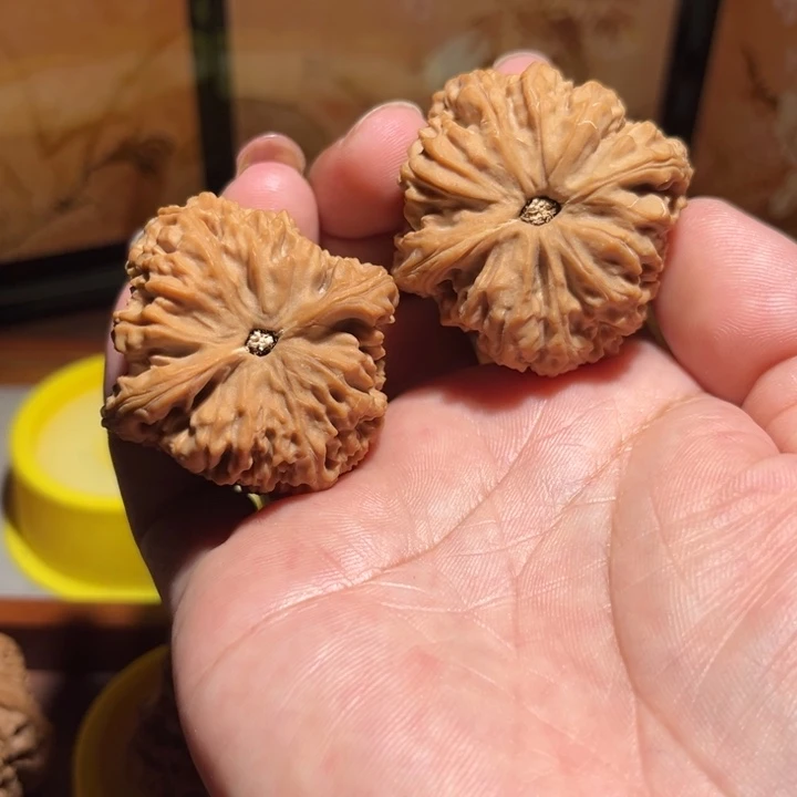 乐***途手串/手链核桃南疆石……
