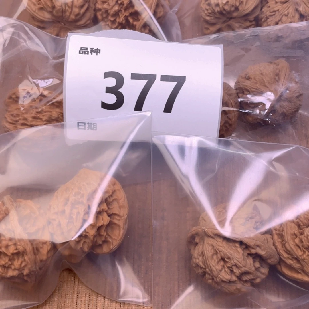 文玩核桃把件377号6对带练手粗筋