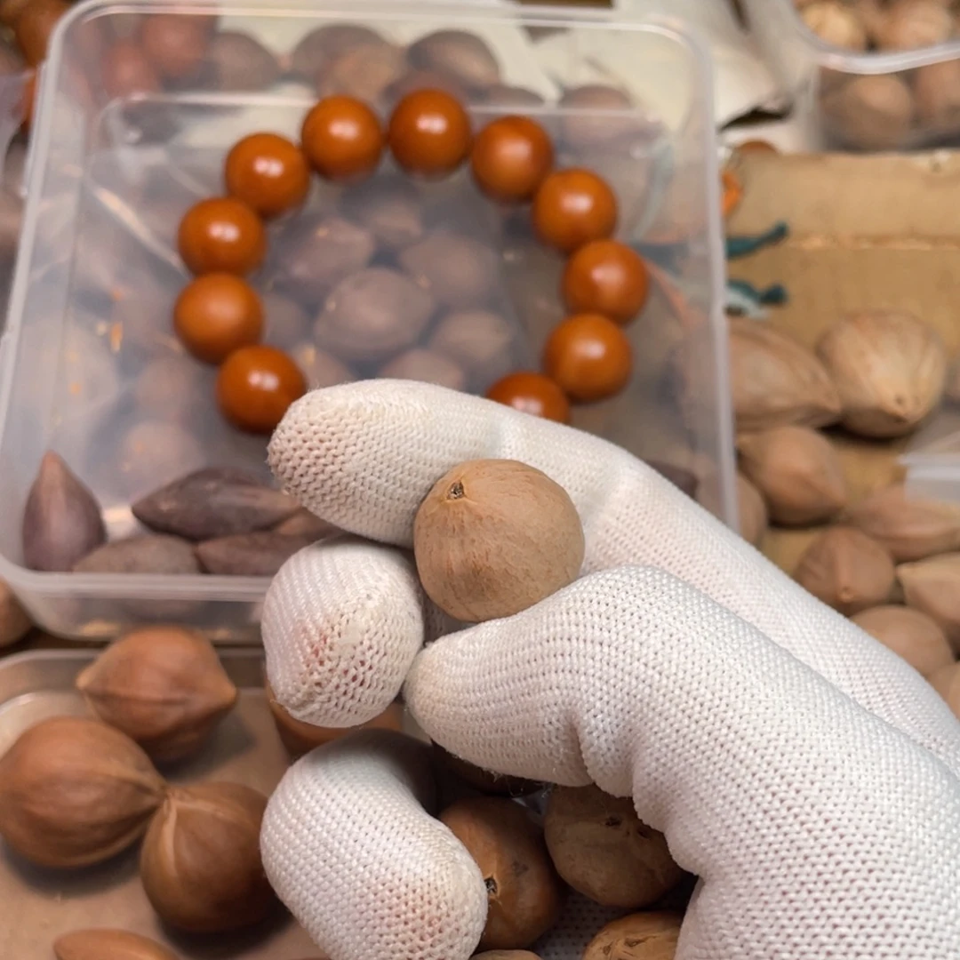 单***会橄榄核手串/手链1