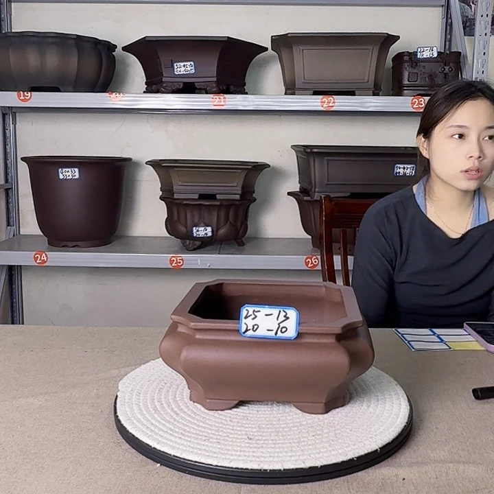 紫砂花盆紫砂花开