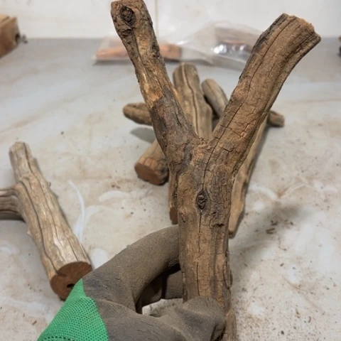 大果紫檀（缅甸花梨）曾***诺