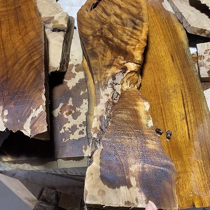 金丝楠木小叶楠木