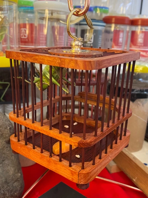 蝈蝈用具木质方笼子