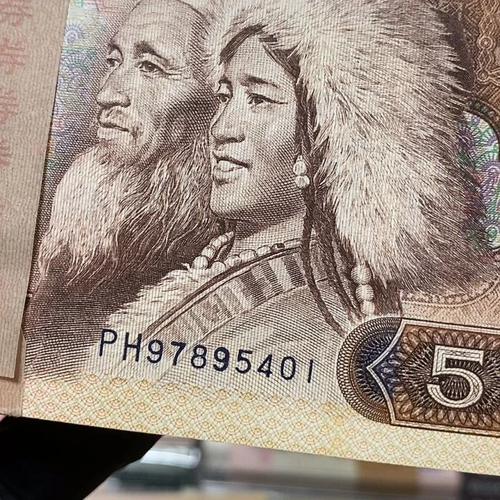 五彩苍松百连97895401