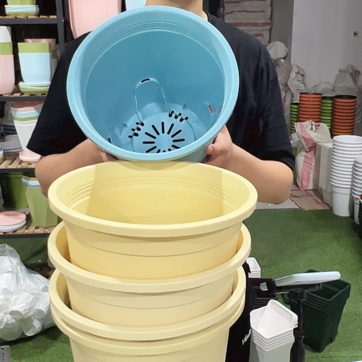 圆形控根口24高24蓝色无托5只