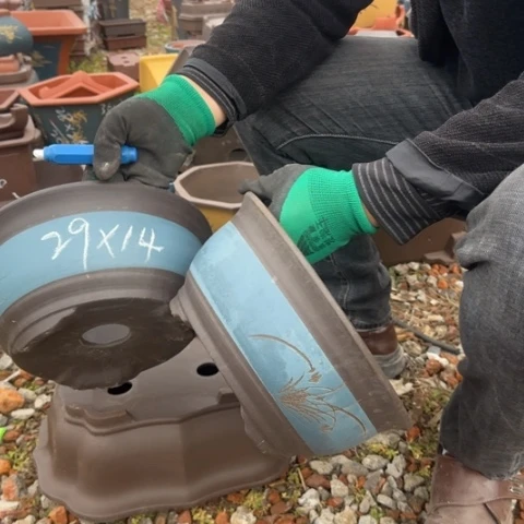 紫砂花盆紫砂花盆盆景盆栽