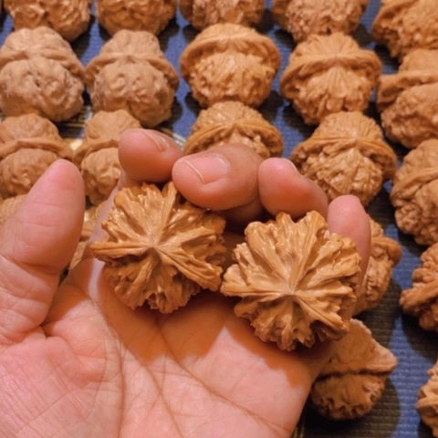 【闪购商品】吊坠文玩核桃露****）三棱40