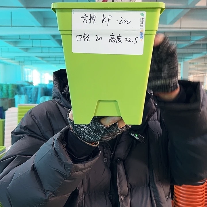 正品方盆口20高22果绿无托6只