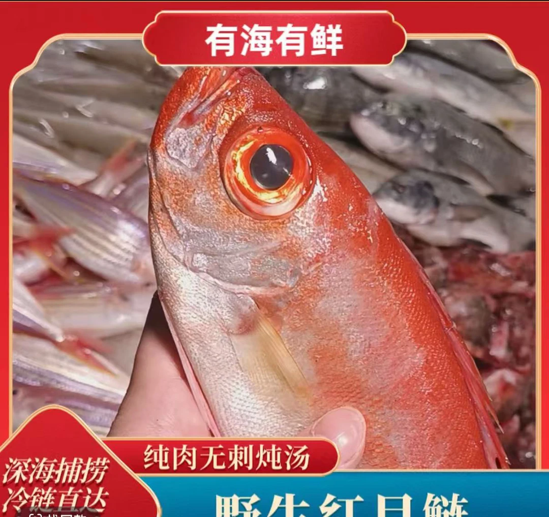 广东海域海捕新鲜野生红目鲢大眼鸡鱼顺丰包邮