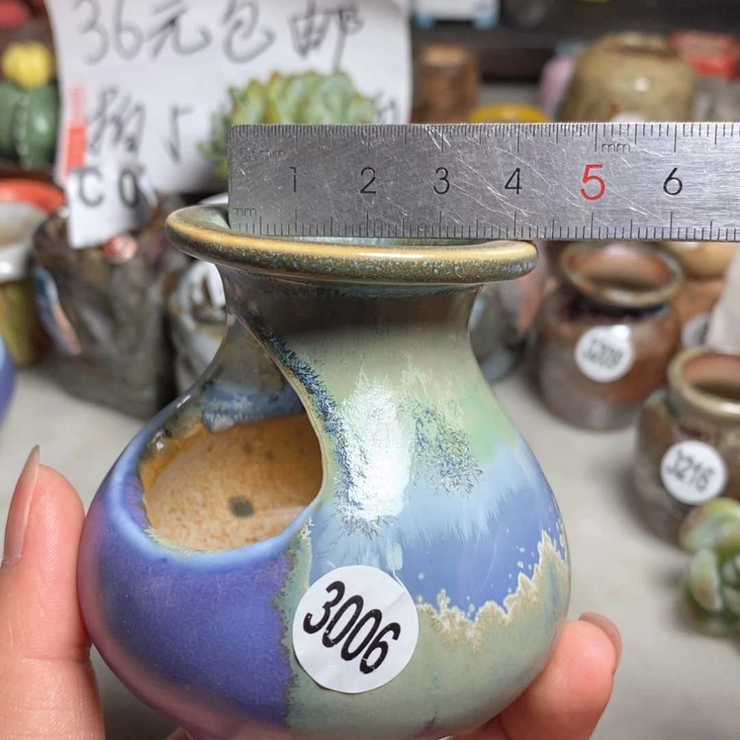 拍5送一个小礼物