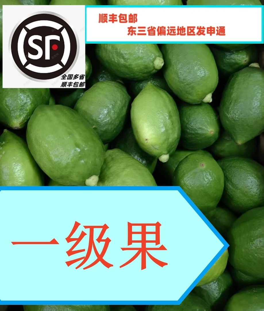 广东香水柠檬【一级果】果园新鲜采摘奶茶店用