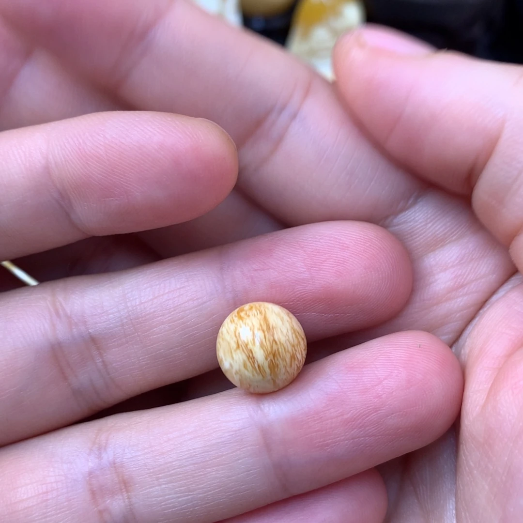 裸石蜜蜡未镶嵌蜜蜡