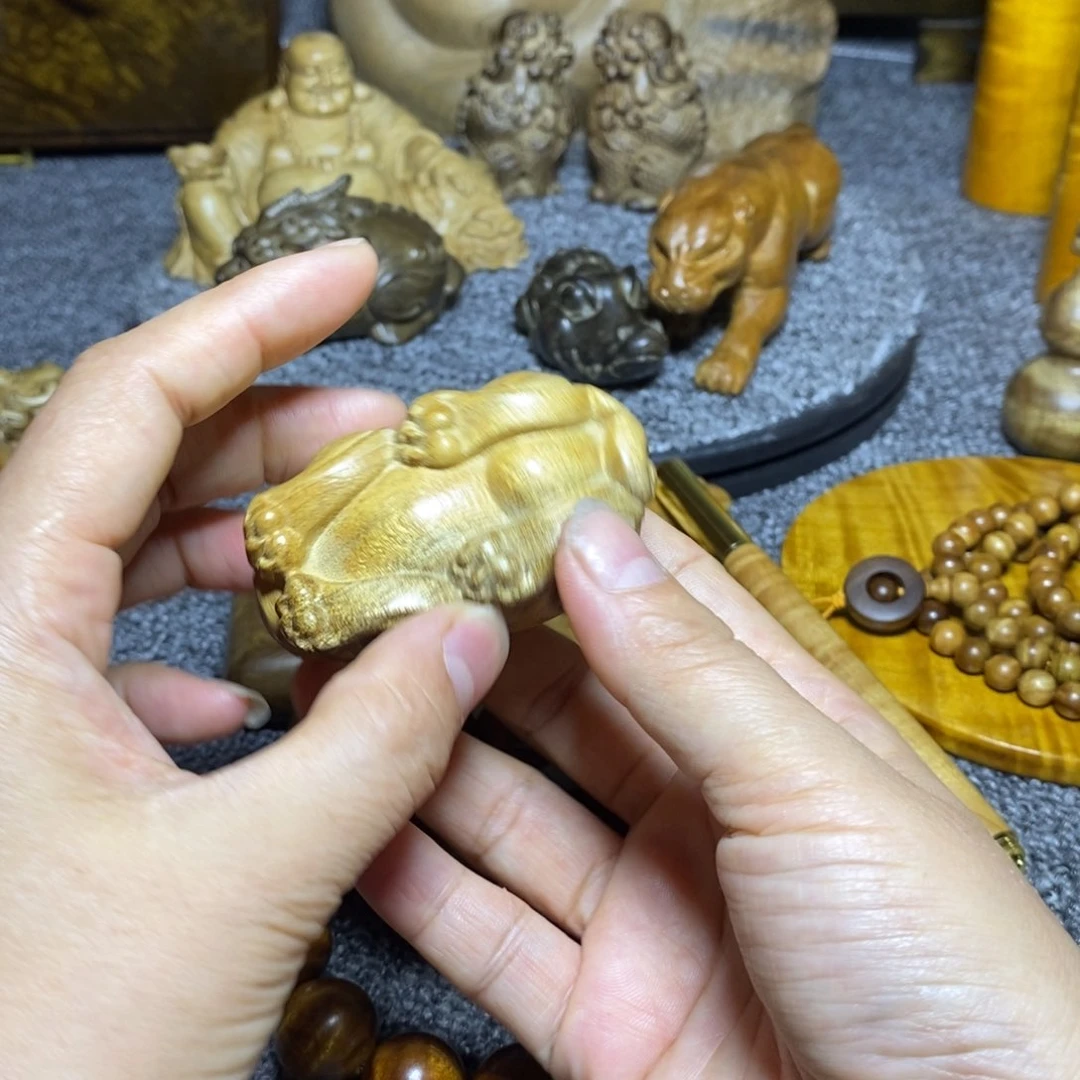 金丝楠别*眼貔桢木缘小叶