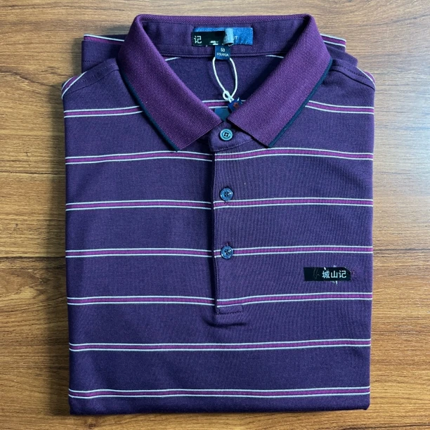 1KT4213040男士商务休闲T恤POLO衫