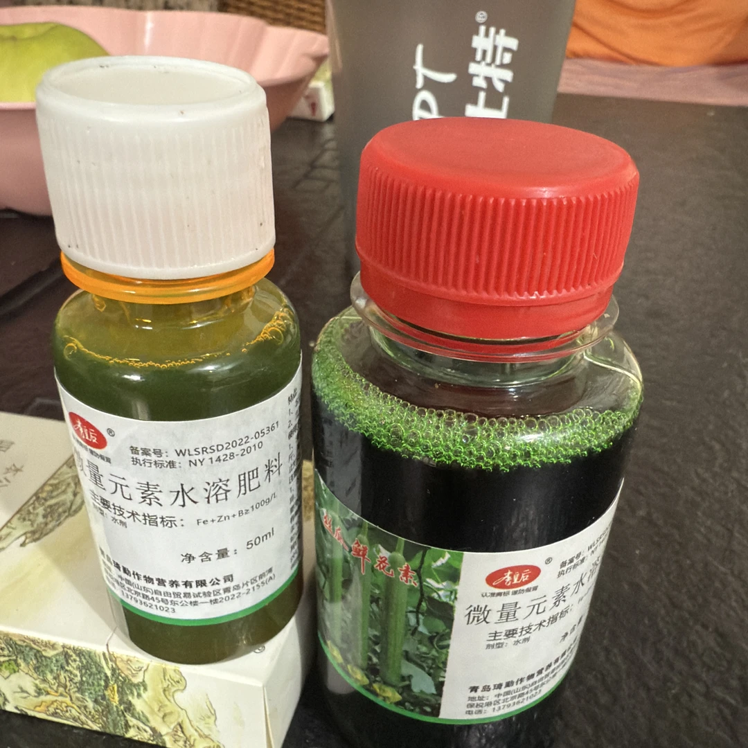 丝瓜鲜花素，丝瓜沾花用花瓣黄，厚，硬，毛笔花增产增收减少畸形瓜