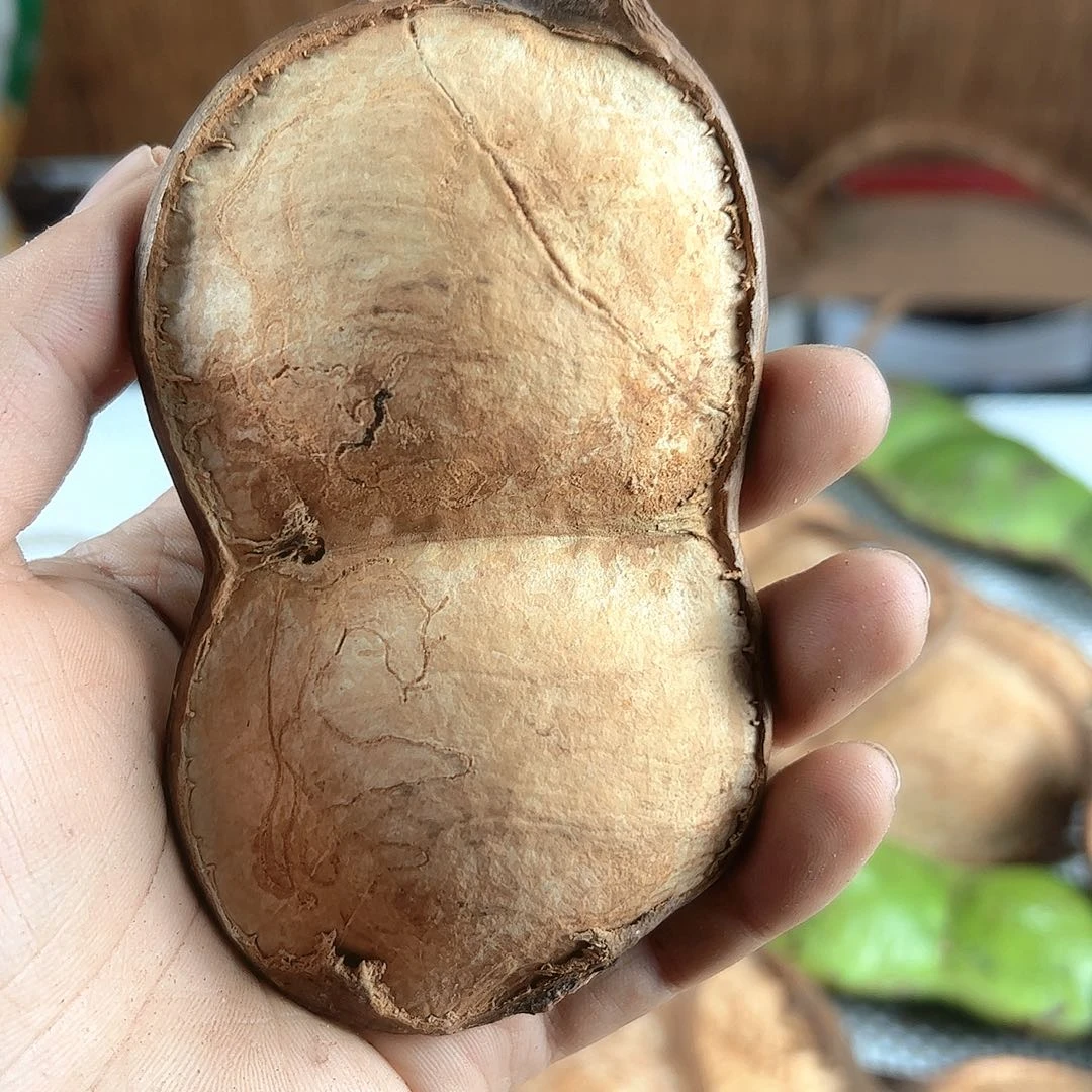 哦***完全开放过江龙藤豆