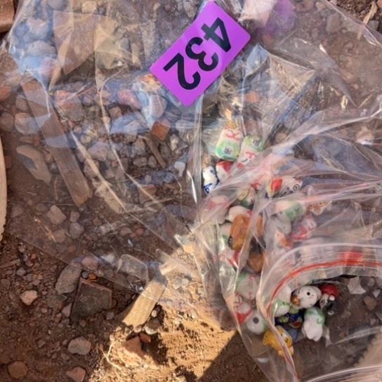 坦***克杂色豆（科檀/科特迪瓦檀木）