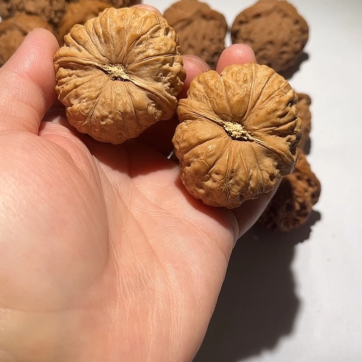 龙脊菩提吊坠南瓜墩