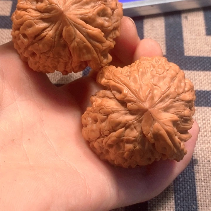 吊坠文玩核桃全品龙鼎