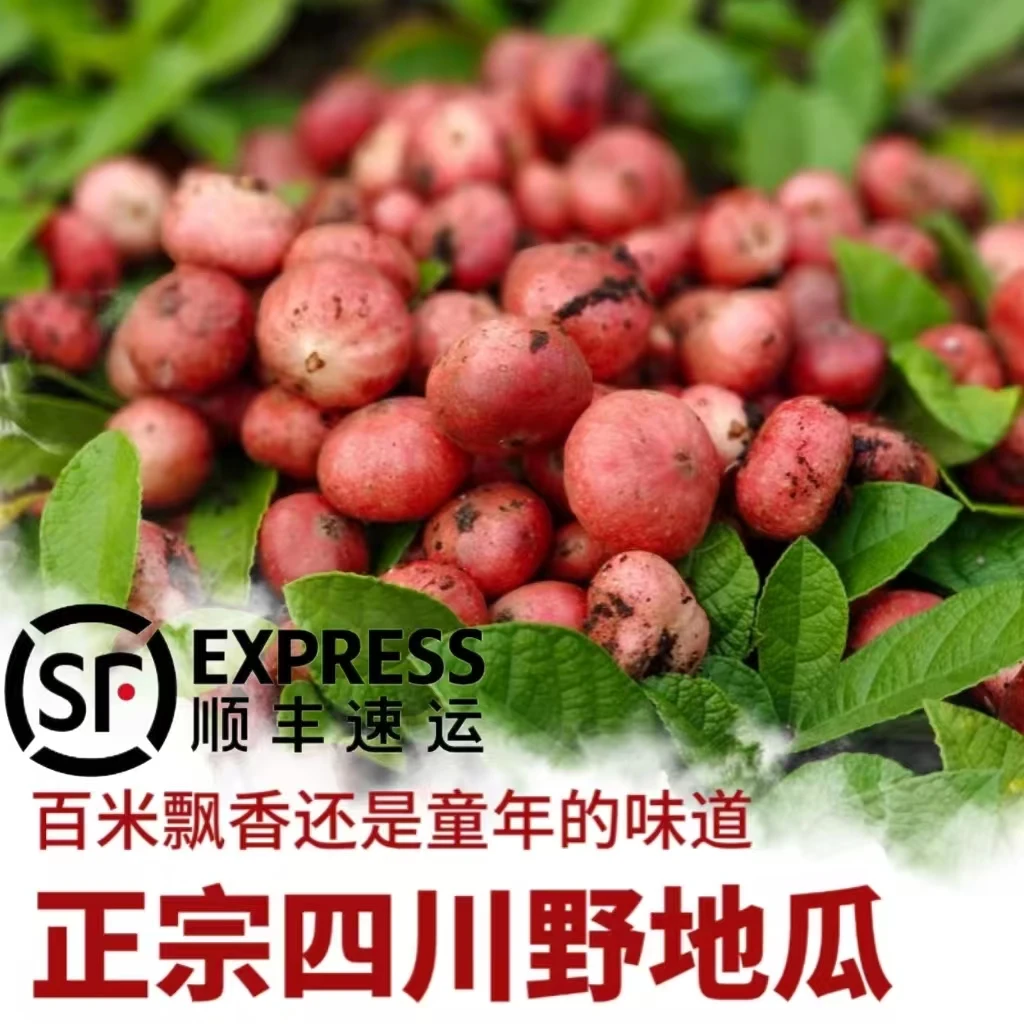 【顺丰空运】野地瓜四川野生土地瓜新鲜果子地枇杷六月六地石榴果