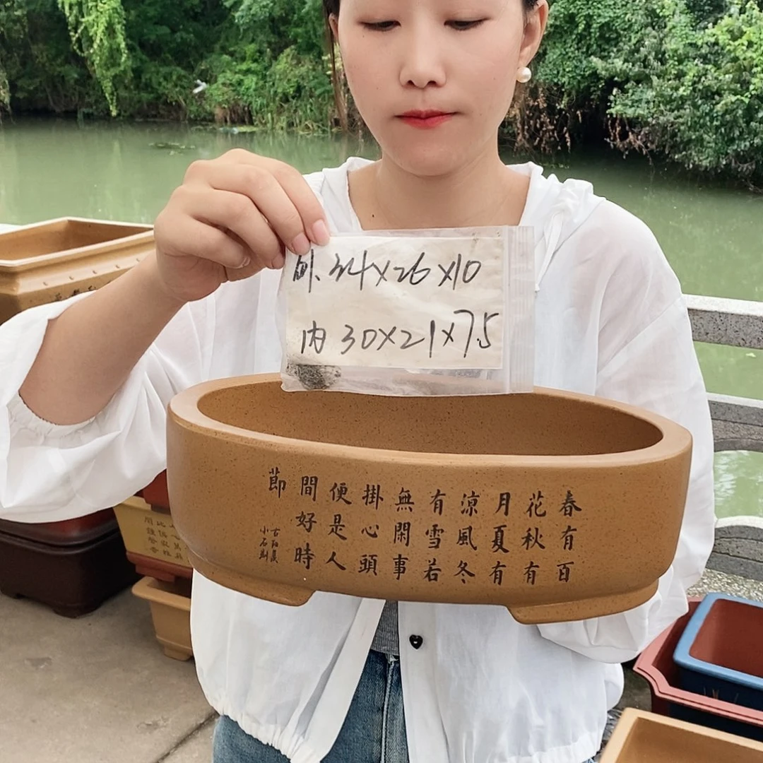 紫砂花盆紫砂花盆