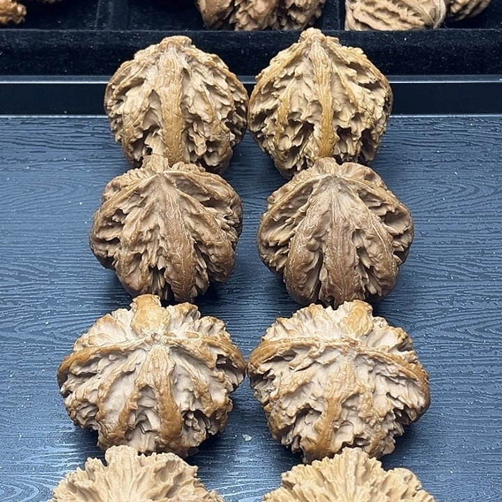 木质类秦岭突突突突突突突