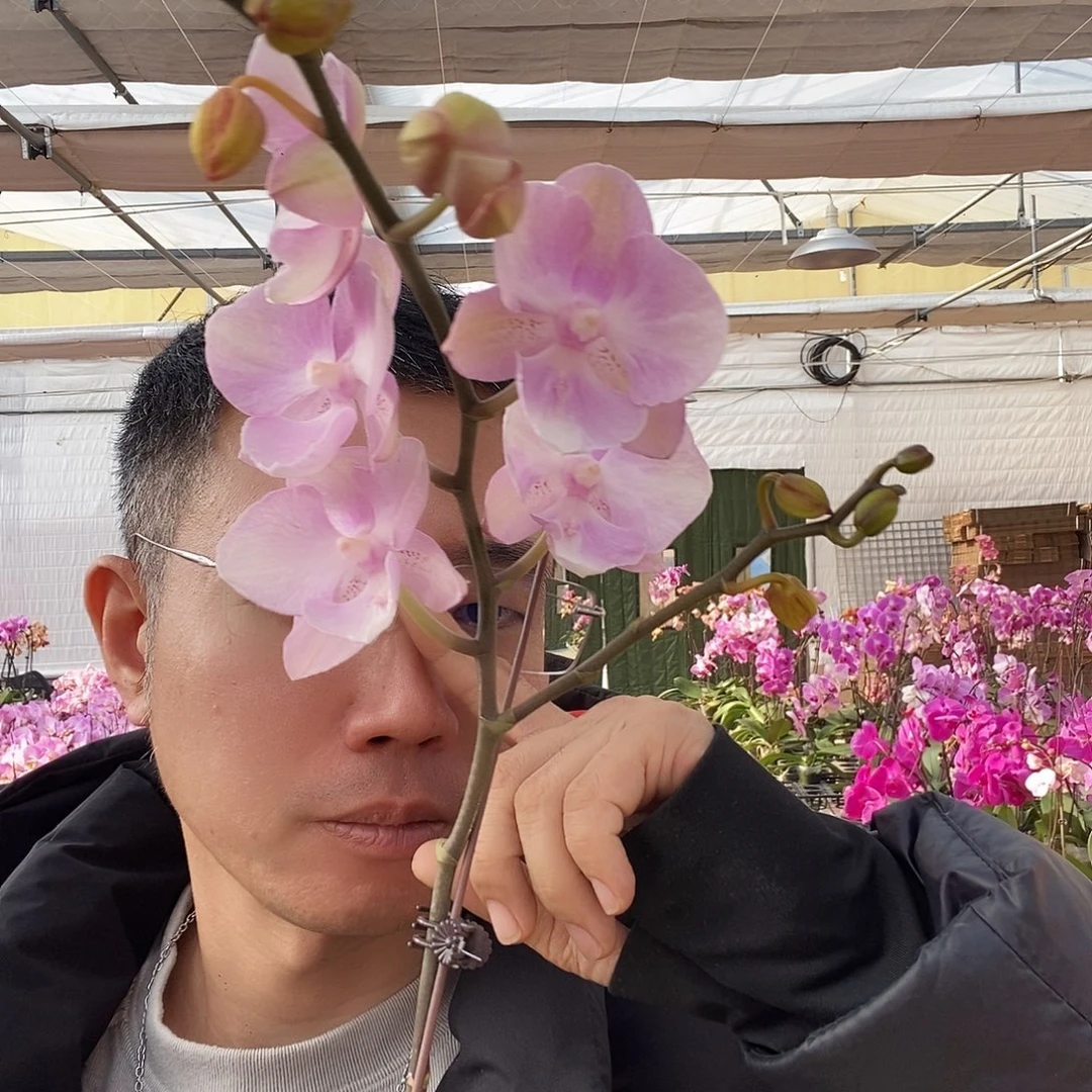 完全开放威尼斯个别消苞3.0寸1棵