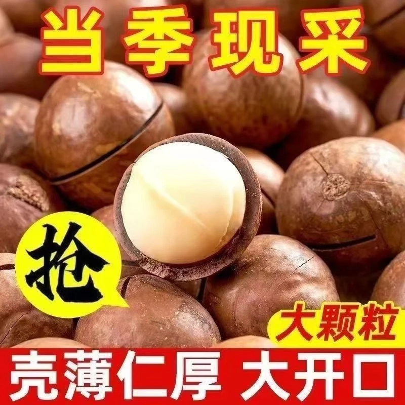 【到手1斤】夏威夷果新货原味袋装批发坚果炒货干果休闲零食小吃