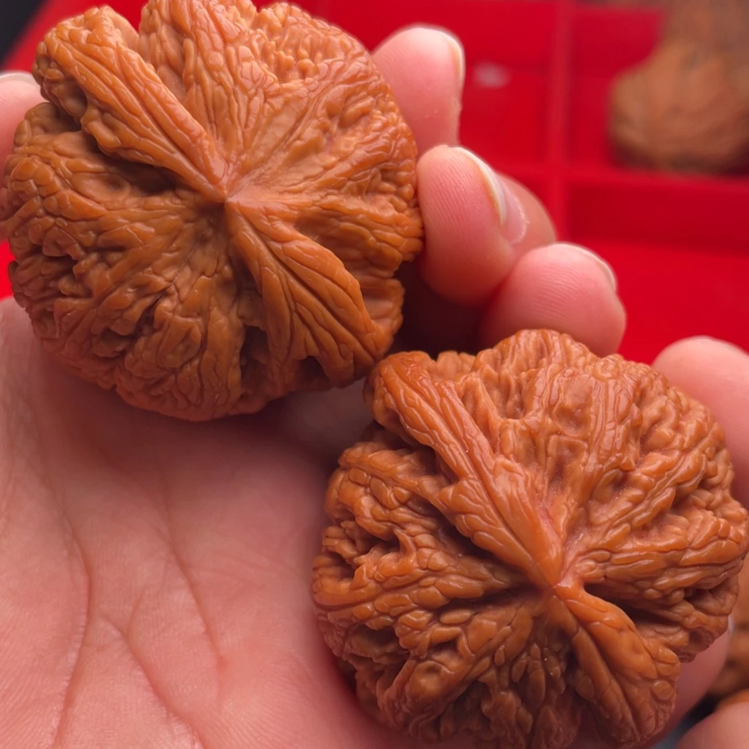 文玩核桃把件秦岭山脉核桃