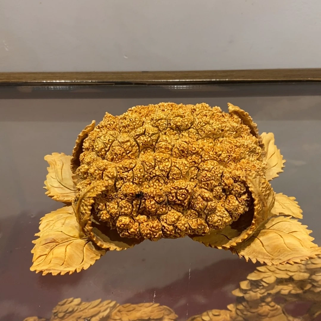 柏木（崖柏）。。。。。。。。。。。。