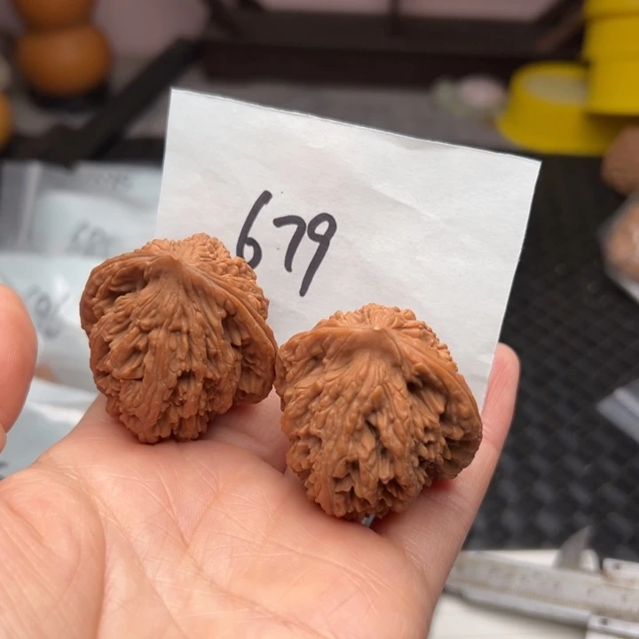 核桃40尺寸麦穗虎头