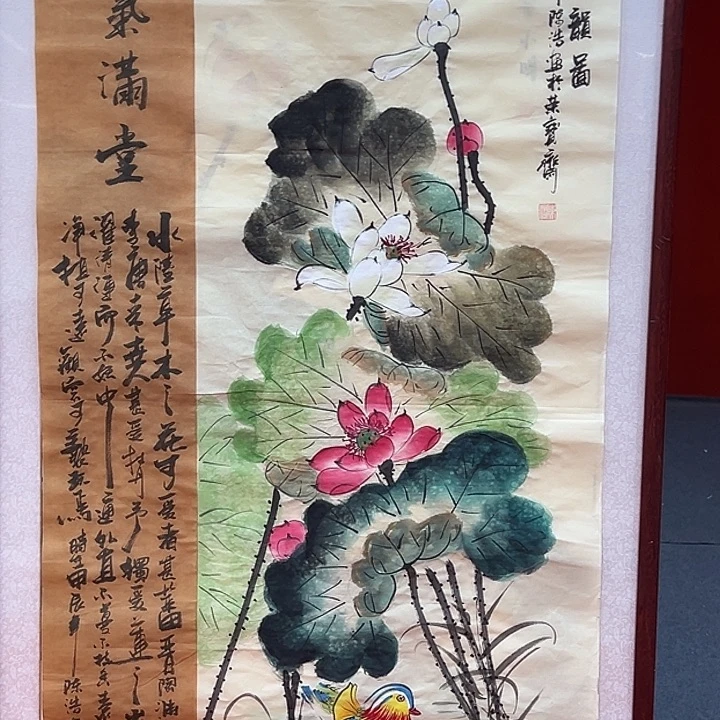 新号直播喜欢看看