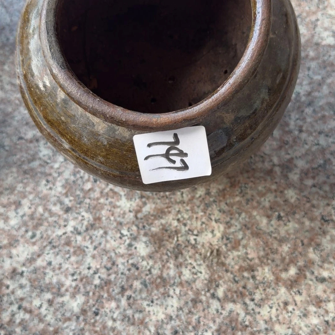 .****杂色豆（科檀/科特迪瓦檀木）