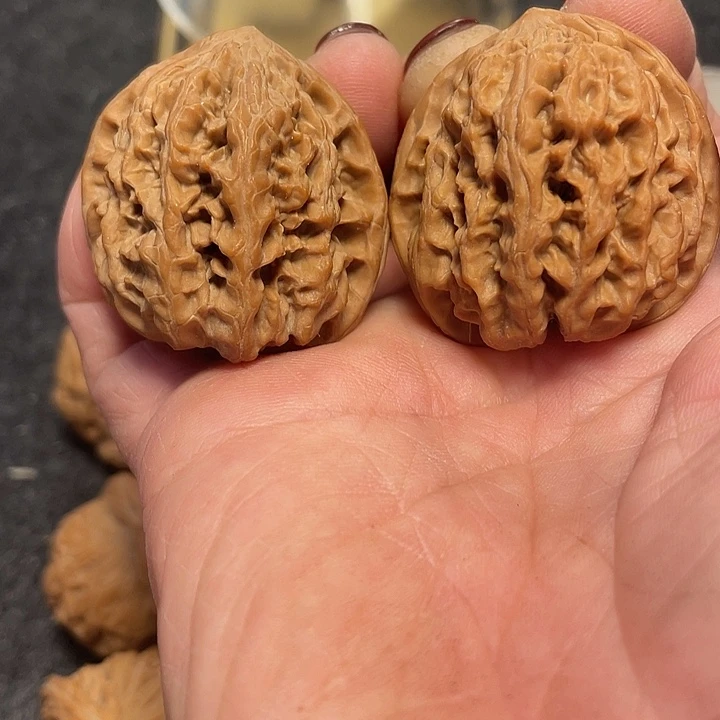 把件文玩核桃野牛