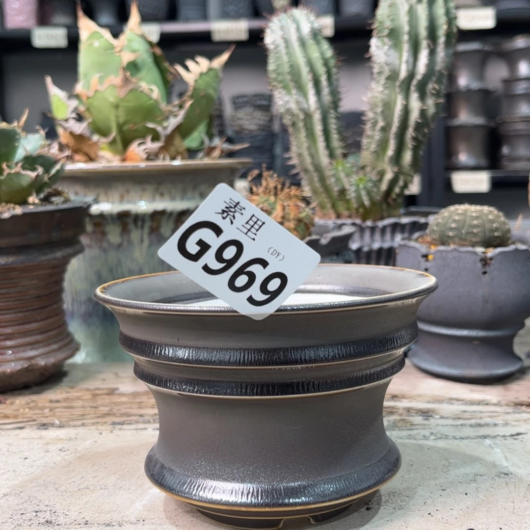 陶内口12.5高8.5景德镇