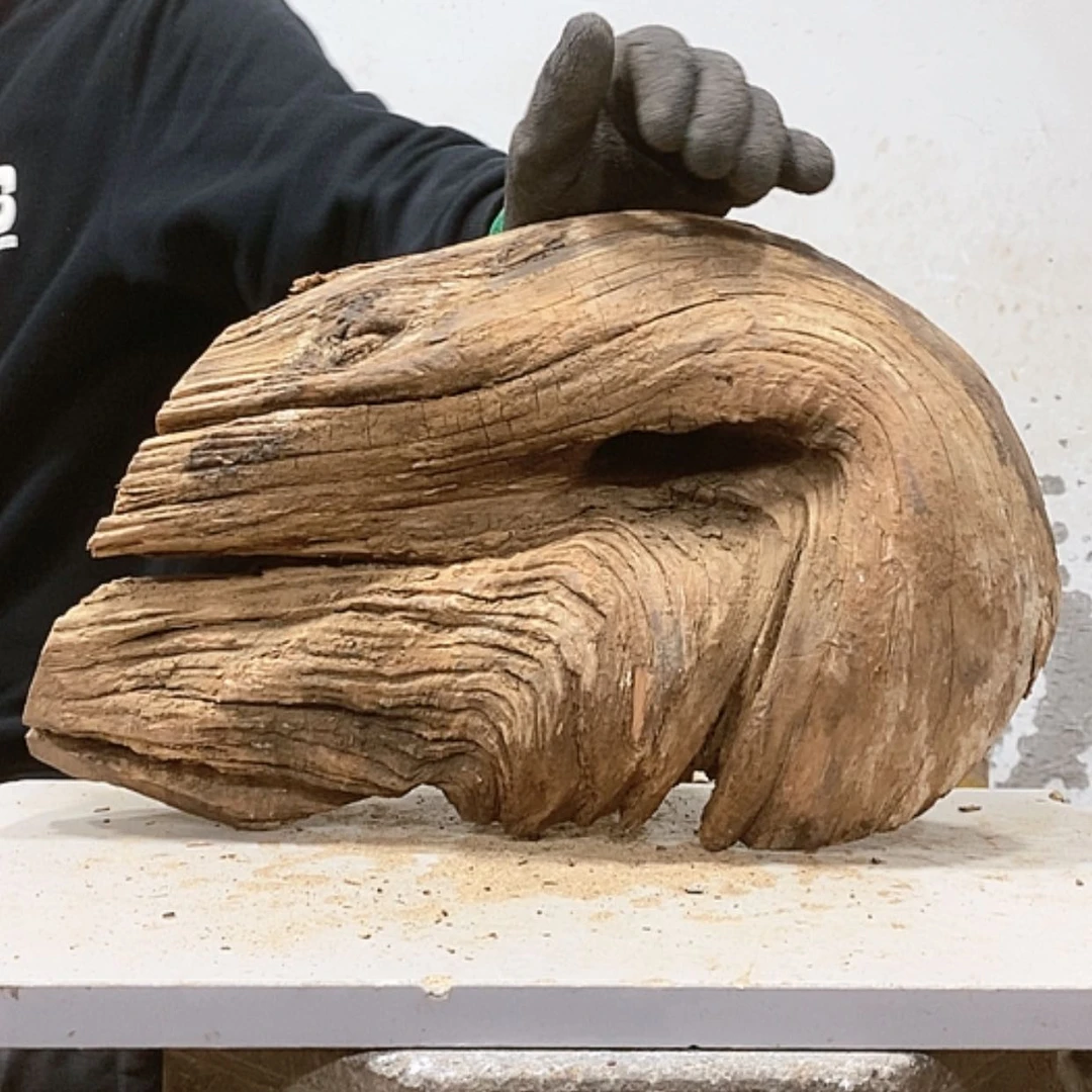 【闪购商品】柏木秦*龙我们都是好孩子