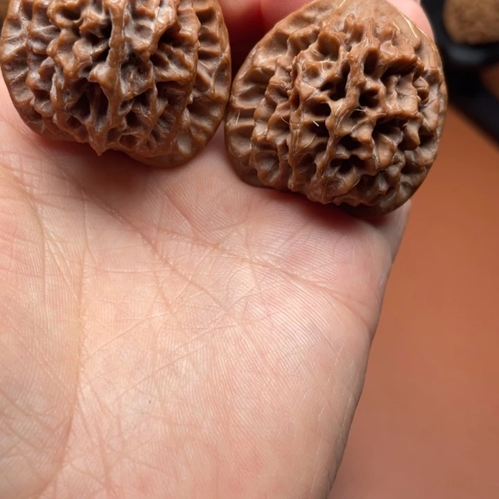 凉***韵秦核等人的故事也在这里